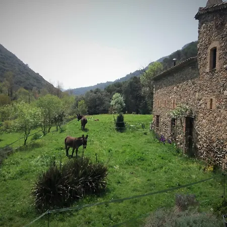Casanova De Sant Miquel