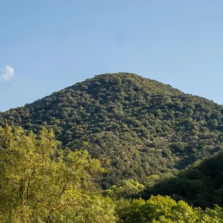 Casanova De Sant Miquel *