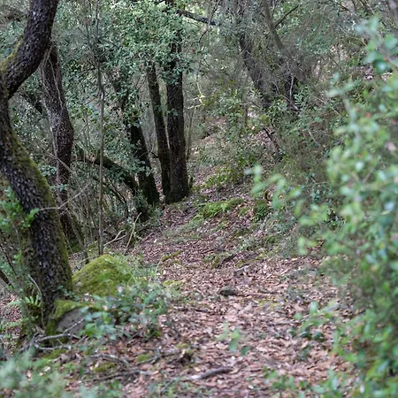 Casanova De Sant Miquel Aiguafreda