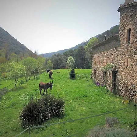 Casanova De Sant Miquel *