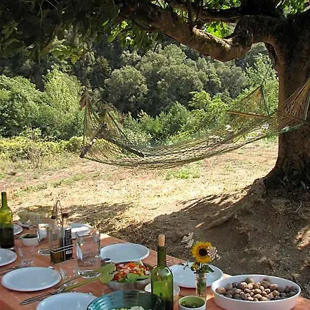 Casanova De Sant Miquel Hostal